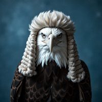 OUR LEGAL EAGLE
